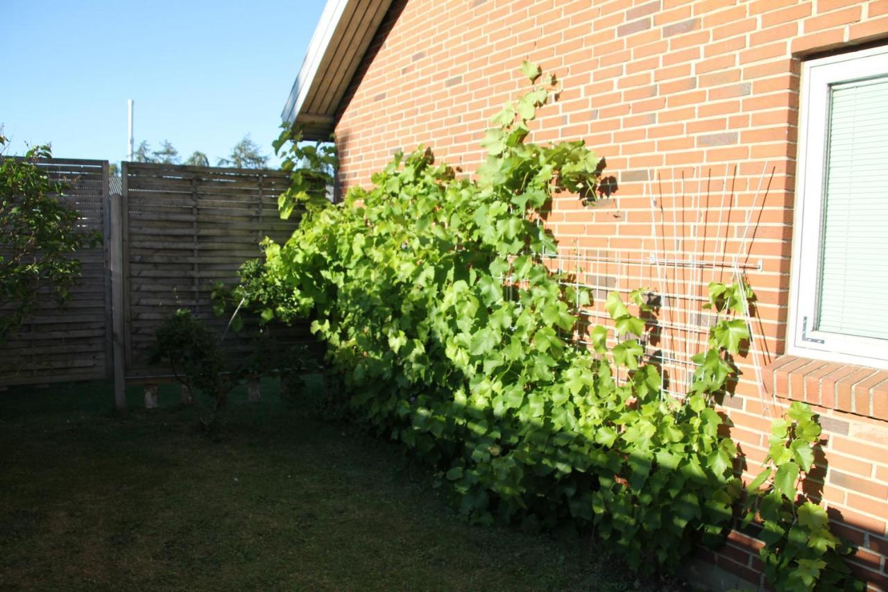 Hine Bakke Bed And Breakfast Rudkøbing Εξωτερικό φωτογραφία